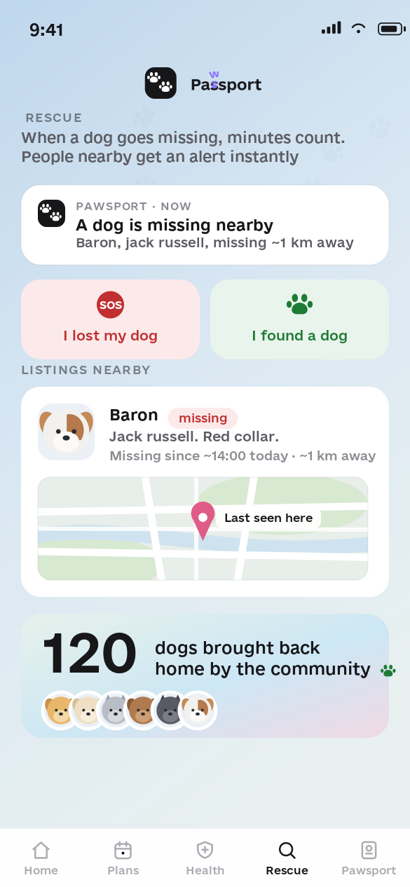 Lost dog search